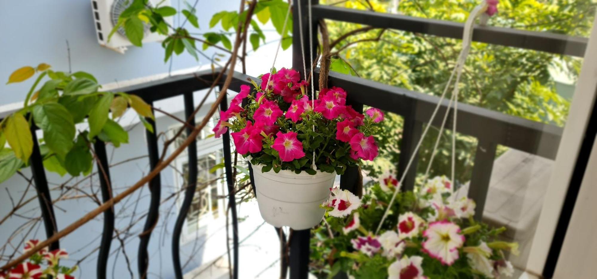 Spring Light Home Ho Chi Minh Zewnętrze zdjęcie